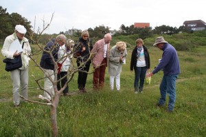 Excursie Bergen aan Zee 24 mei 2014 - 3