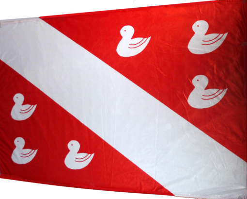 Bergense Wimpel Klein (voor vlaggenstok) - Afbeelding 2