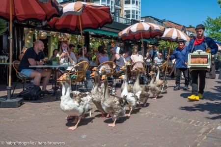 HVB 30 jaar jubileum-71-DeNoiseAI-standard