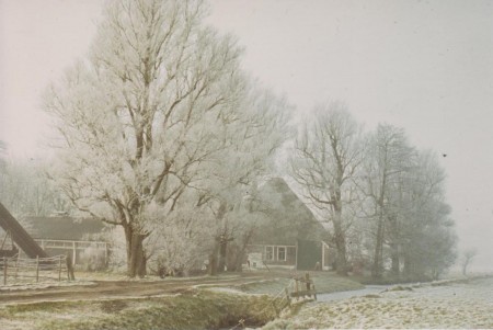 HVB FO 00264  Boerderij bij Wiertdijkje