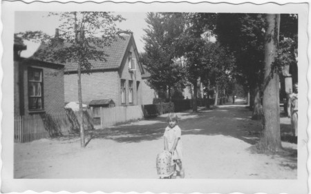 HVB FO 00324  Stroomerlaan gezien vanaf Loudelsweg, 1931