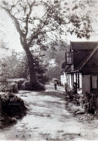 HVB FO 00770  Hoopweg, 1955, op de fiets Klaas Weijers