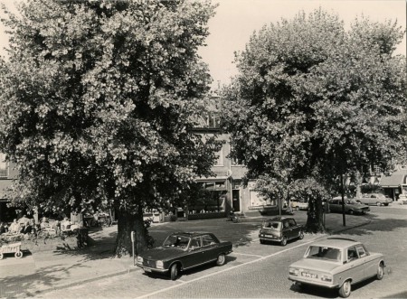 HVB FO 00993  Breelaan met grote bomen, 1986