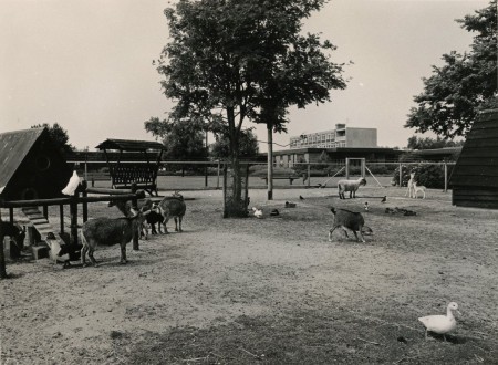 HVB FO 01005  Hertenkampje bij verpleeghuis Oudburgh
