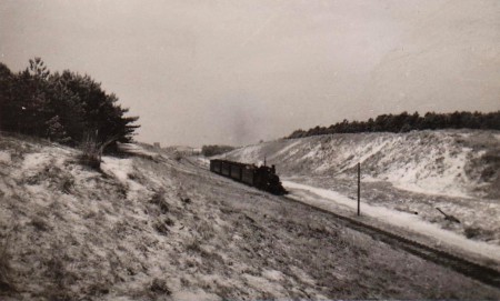 HVB FO 01213  Bello in de duinen, 6 augustus 1950