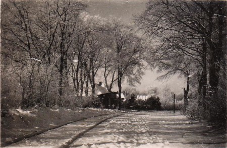 HVB FO 01216  Halte Oostdorp, maart 1947